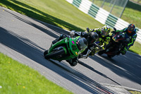 Middle Group Green Bikes